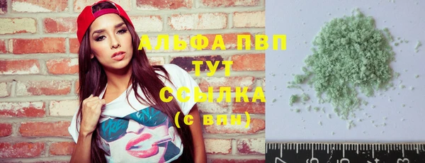 ешки Новозыбков