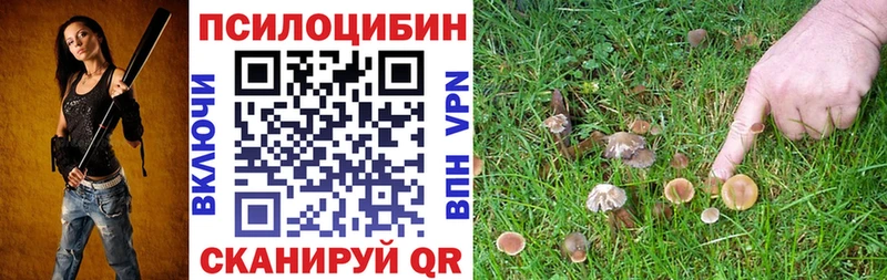 Псилоцибиновые грибы прущие грибы  Купить где  Пучеж 